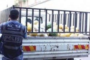 Kavun altında ka&ccedil;ak sigara