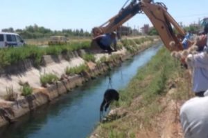 Sulama kanalındaki ceset b&ouml;yle &ccedil;ıkarıldı