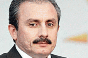 AK Partili Şentop'tan referandum a&ccedil;ıklaması