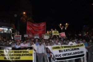 Diyarbakır'da Mursi'ye destek y&uuml;r&uuml;y&uuml;ş&uuml;