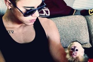 Justin Bieber'a bin 500 dolarlık maymun faturası