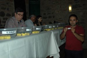 Amat&ouml;rde sezon 15 Ağustos'ta
