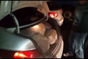 200 kilo esrar b&ouml;yle yakalandı