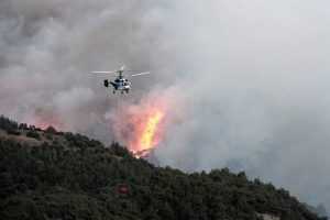 Yanan orman alanında ranta ge&ccedil;it yok