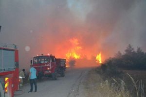 Balıkesir'de korkutan yangın kontrol altında
