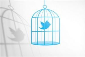 Twitter o raporu yayınladı