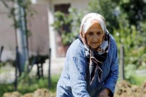 Fındık &uuml;reticisinin beklentisi 8 TL