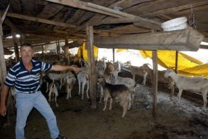 Kimyasal ihmal 17 ke&ccedil;iyi telef etti