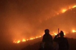 Hatay'da 500 hektarlık alan k&uuml;l oldu