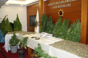 Boğaz manzaralı evde esrar tarlası