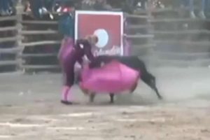 Kadın matadorun zor anları