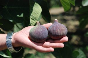 Bursa Siyahı, tahtı Yunanistan'a kaptıracak-&Ouml;ZEL HABER