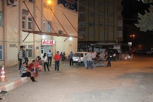 Kardeş kavgası kanlı bitti