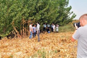 Kayıp kadının cesedi mısır tarlasında bulundu