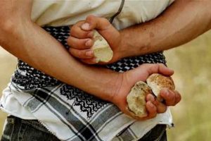 Taş atan &ccedil;ocuklara cezaevi yolu kapanıyor