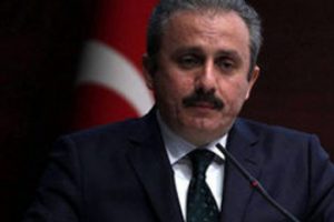 AKP'li Şentop'tan Ergenekon yorumu