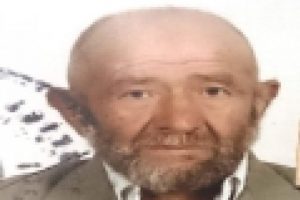 Talihsiz yaşlı adam kestiği ağacın altında kaldı