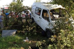 Takla atan minib&uuml;s ağaca &ccedil;arptı: 1 &ouml;l&uuml;