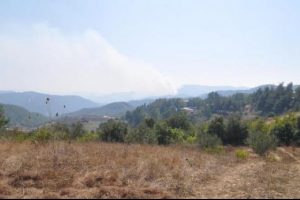 Suriye Sınırı'nda yangın alarmı