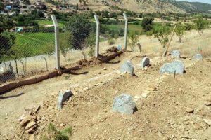 8 kişide ayrı yerlerde toprağa verildi