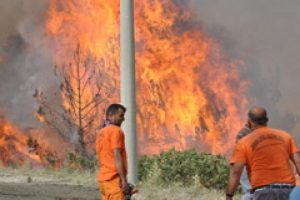 Bodrum'daki yangın l&uuml;ks evleri tehdit ediiyor