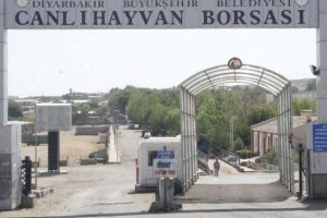 Yine arazi kavgası yine vahşet
