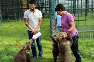 Hayvanat bah&ccedil;esinin yavru ayılarına b&uuml;y&uuml;k ilgi
