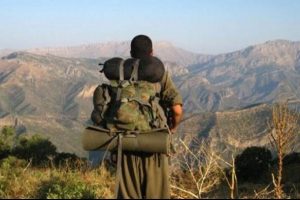 Şırnak'ta 3 PKK'lı teslim oldu
