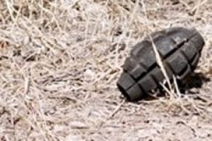Okul yakınında el bombası bulundu