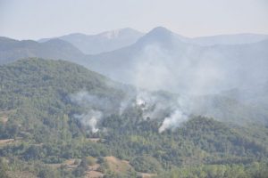 İhmal 2 hektarlık alanı k&uuml;l etti