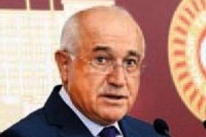 &Ccedil;i&ccedil;ek, eyl&uuml;lde Tahran'a gidiyor