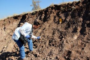 Yol kazısında bakın ne &ccedil;ıktı