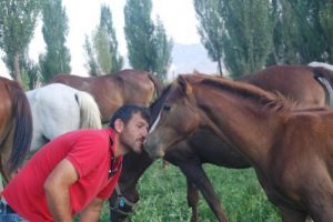 Atları &ouml;pmeden işe başlamıyor
