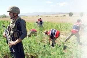 TSK'dan şoke eden uyuşturucu itirafı