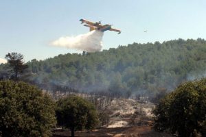 &Ccedil;anakkale'de orman yangını