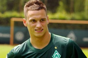 Arnautovic Stoke City'de