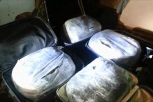 Adana'da 1 ayda 1 ton uyuşturucu yakalandı