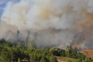 Lüleburgaz'da korkutan yangın