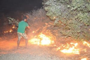 Alanya'da yangın