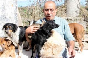 Emekli maaşıyla 100 hayvanı besliyor
