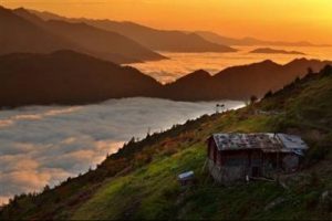 National Geographic yılın fotoğrafını arıyor