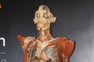 Plastine edilmiş kadavra herkesi şaşırttı