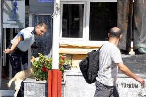 Beklenmedik misafir polise zor anlar yaşattı