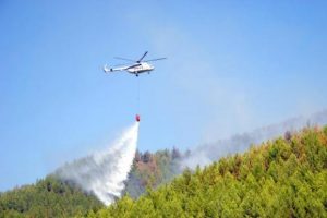 Antalya'da 170 hektar orman k&uuml;l oldu