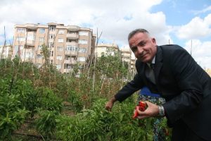 Belki de "en pahalı" isotu o yetiştiriyor