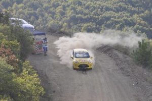K&ouml;pek, ralli otomobilinin &ouml;n&uuml;ne atladı
