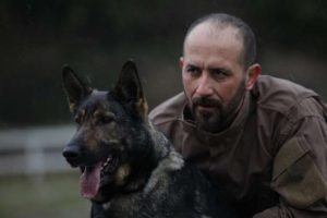 Kayıp vakaları artık k&ouml;peklerin