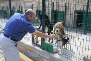 Evinde k&ouml;pek besleyenler dikkat!
