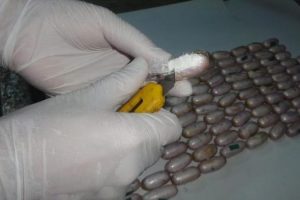 Uyuşturucu kuryesini DNA testi ele verdi