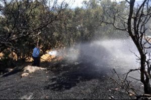 Zeytinlikte &ccedil;ıkan yangın, evin balkonuna sı&ccedil;radı